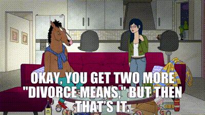 bojack horseman divorce.